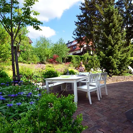 Frederic Mit Kamin Apartment Bad Sachsa